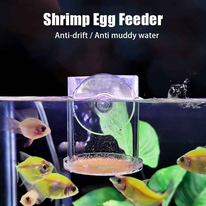 شفاف أكريليك حوض السمك تغذية ا - مراجعة Aquarium Fish Holiday Food وسعره