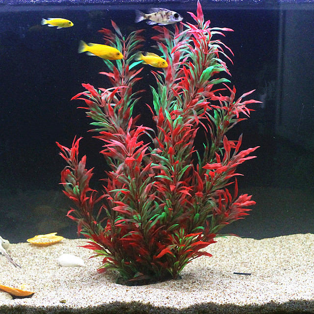 نباتات اصطناعية نادرة لأحواض ا - مراجعة Aquarium Fish Store وسعره