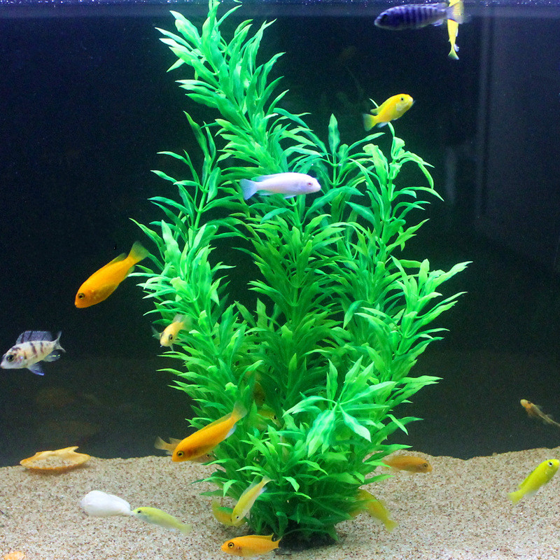 نباتات اصطناعية نادرة لأحواض ا - مراجعة Aquarium Fish Store وسعره