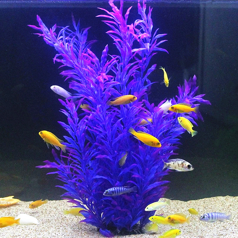 نباتات اصطناعية نادرة لأحواض ا - مراجعة Aquarium Fish Store وسعره