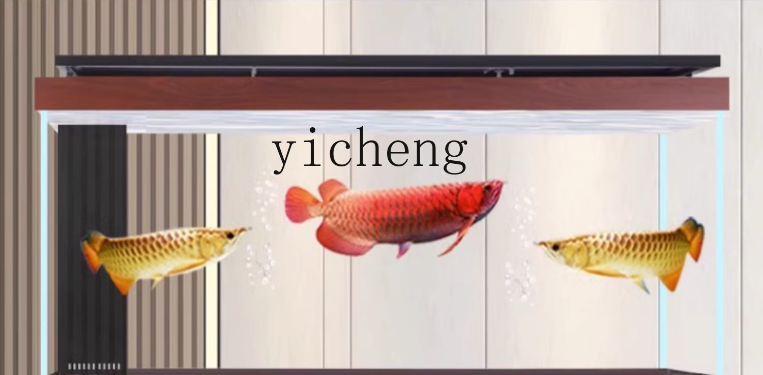 حوض أسماك أروانا X8 مع فلتر سف - مراجعة Aquarium Xxl وسعره