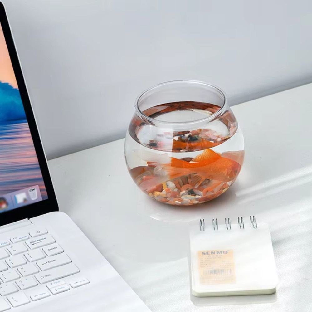 جديد شفاف خزان الأسماك جولة غي - مراجعة Aquarium Fish For Beginners وسعره