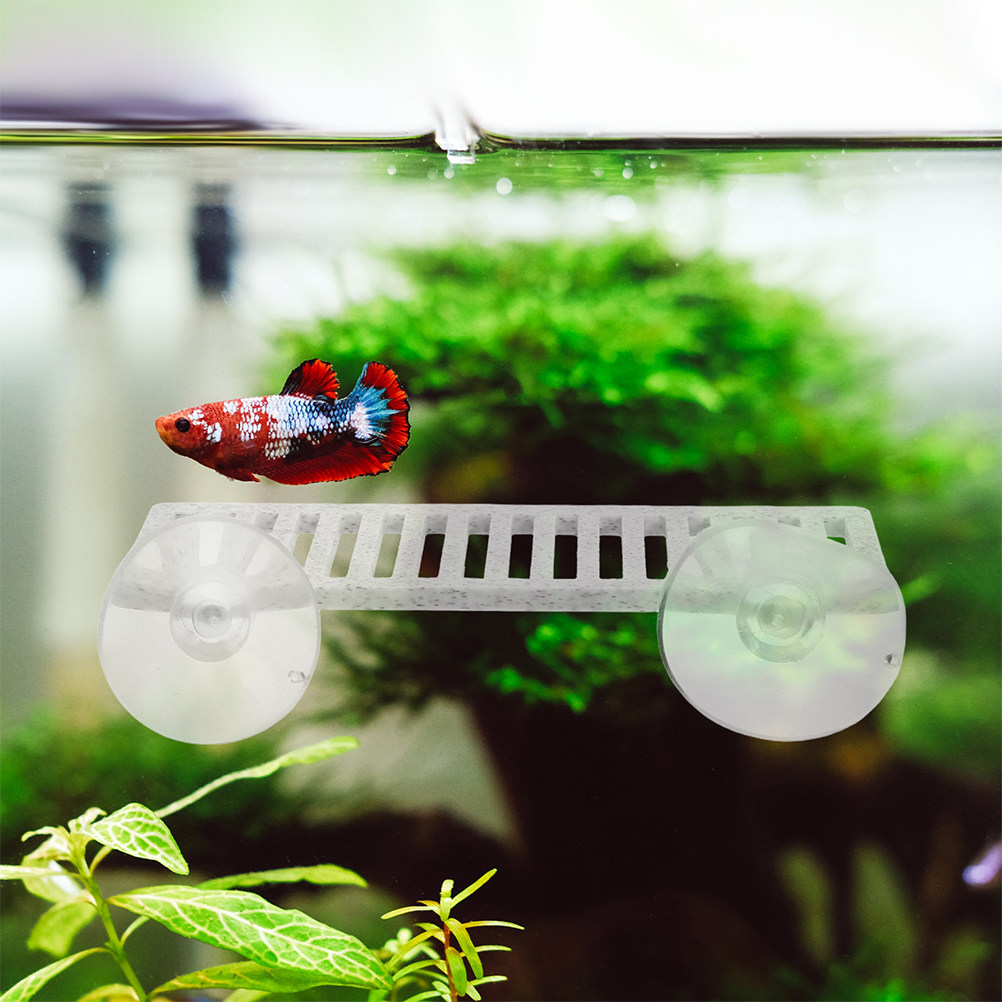 قطعتان من أوراق الراحة للأسماك - مراجعة Aquarium Fish Unique وسعره