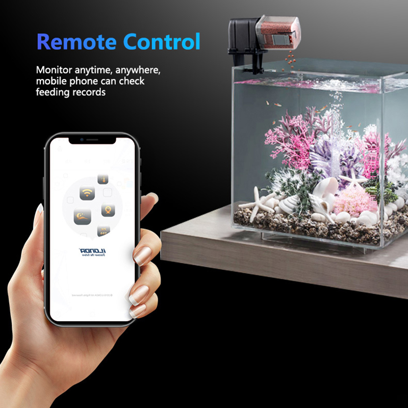 الذكية واي فاي وحدة تغذية الأس - مراجعة Aquarium Fish Holiday Food وسعره