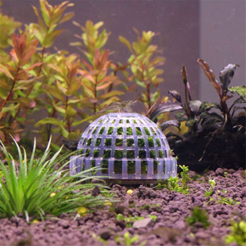 جديد البلاستيك تعليق الطحلب قب - مراجعة Aquarium Fish Cichlid وسعره