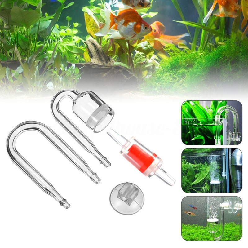 ناشر CO2 لحوض السمك ، خزان زجا - مراجعة Aquarium Fish Store وسعره