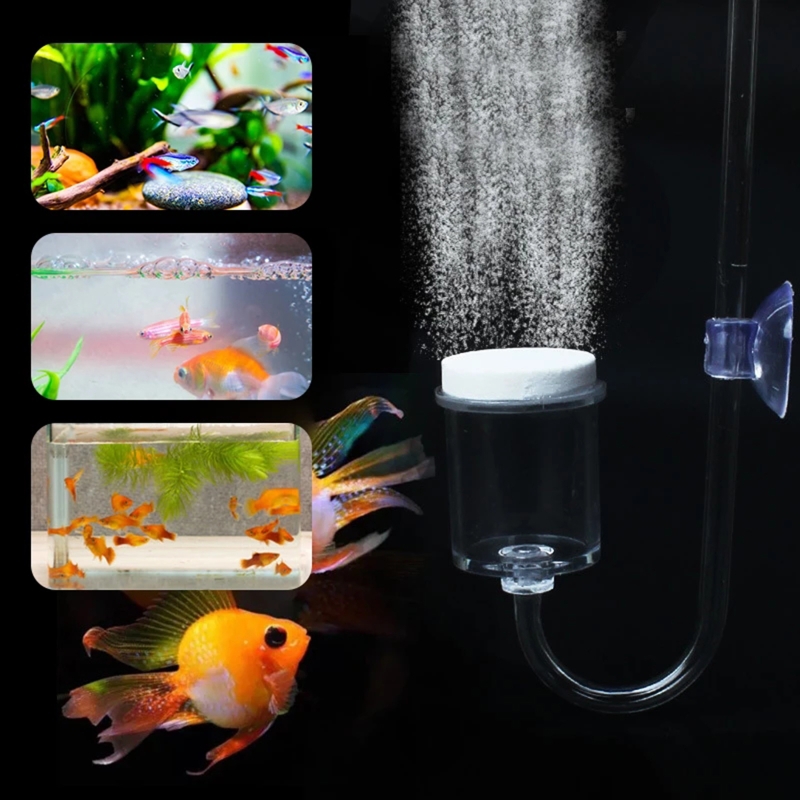 ناشر CO2 لحوض السمك ، خزان زجا - مراجعة Aquarium Fish Store وسعره