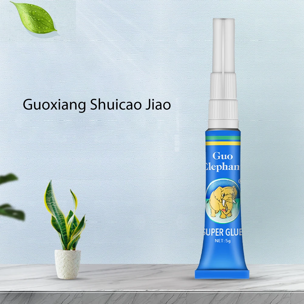 النباتات المائية Driftwood تحت - مراجعة Aquarium Fish Store وسعره