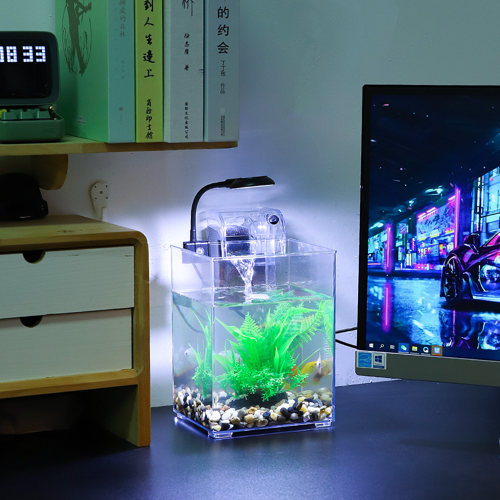 طقم خزان أسماك سطح مكتب USB لغ - مراجعة Aquarium Fish For Beginners وسعره