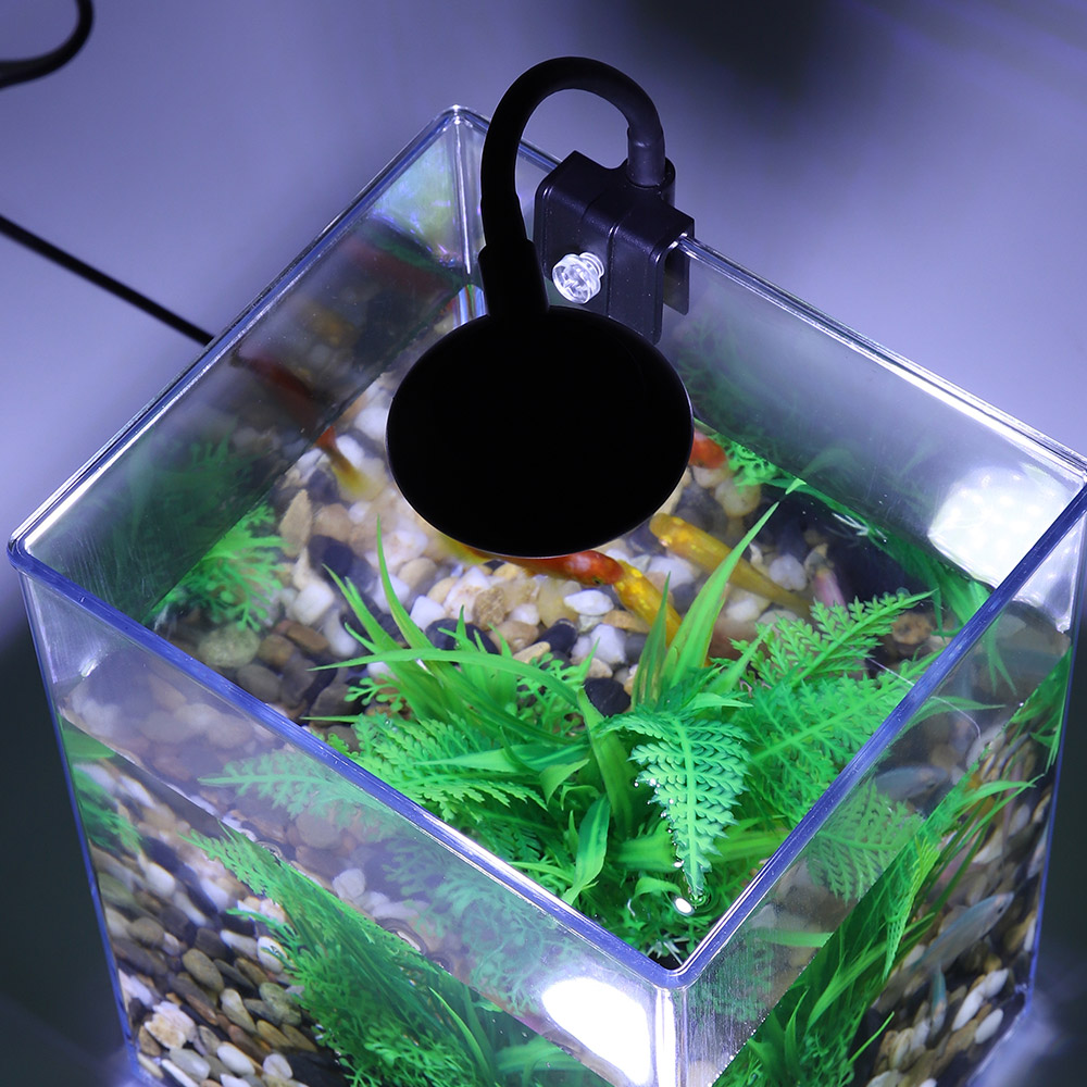 طقم خزان أسماك سطح مكتب USB لغ - مراجعة Aquarium Fish For Beginners وسعره